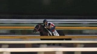 ヤマニンサルバム、毎日王冠1週前追い切り速報/栗東トレセンニュース