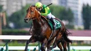 【スプリンターズS出走馬・騎手確定】サトノレーヴ＆D.レーン騎手、ママコチャ＆川田将雅騎手など16頭