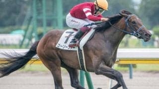 先週“出世レース”制覇の藤田晋オーナー 今週も期待の良血キズナ産駒がスタンバイ