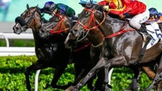 【スプリンターズS／全頭診断】馬券妙味は「3.0.0.0」合致の5歳馬　“枠次第で押さえるべき”穴候補は