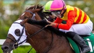 レース史上初の連覇なるか ハギノアレグリアスが今年もシリウスS参戦