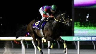 【マリーンC】テンカジョウが交流重賞初制覇…断然人気アンモシエラは4着敗退