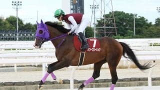 【姫山菊花賞】パワーブローキングが重賞初制覇…川島正「強い相手にも挑みたい」