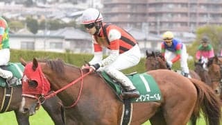 スプリンターズＳで注目の血統は「ミスタープロスペクター系」出走する４頭のなかで特に注目なのは？