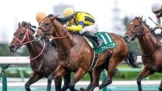 22年京成杯AH覇者ファルコニアが抹消 今後は乗馬に