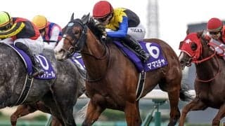 【スプリンターズS】16頭の香港馬名・馬名意味を紹介！ 可愛い見た目から想像がつかない「大海女神」はどの馬？