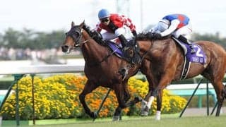 スプリンターズSに外国馬“2頭”参戦時は馬券内率100％!? 過去3回を振り返る