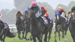 【京都大賞典想定馬・騎手】ブローザホーン、ディープボンドなど11頭