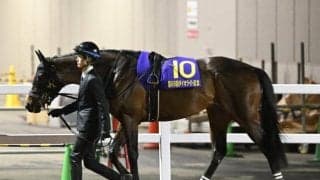 【シリウスS予想】血統面で意外な傾向あり！ 人気でも多くの不安要素を抱えている一頭とは