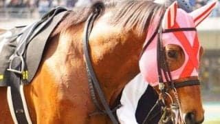 中京ダートは展開一つ シリウスSは先行有利でサンデーファンデーに要注意