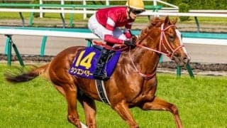 凱旋門賞挑戦の藤田晋オーナー×矢作厩舎 今週はマル外1.6億円注目馬がスタンバイ