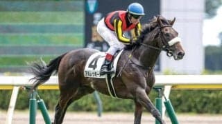 【サウジアラビアRC想定馬・騎手】アルレッキーノ、フードマンなど9頭