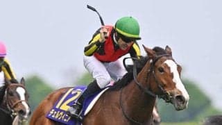 【秋華賞想定馬・騎手】ステレンボッシュ、チェルヴィニアなど17頭