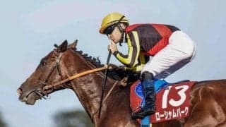 【毎日王冠想定馬・騎手】ローシャムパーク、ヨーホーレイクなど14頭