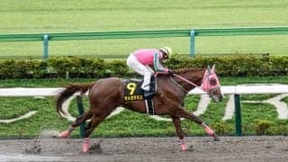 【今日の注目ポイント】中京でダートの中距離重賞・シリウスS