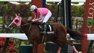 【シリウスS予想】秋のビッグタイトルにつながる一戦 オールダートの中京1900を制するのは？