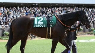 スプリンターズＳ、ハイレベル必至な一戦でネガティブ要素ばかりの実力馬が妙に気になる