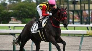 【中京5R新馬戦結果】イスラボニータ産駒ロケベンドラが突き抜け完勝
