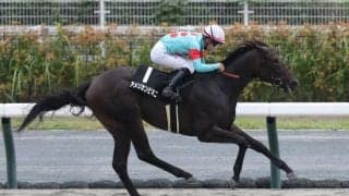 【ヤマボウシ賞結果】アメリカンビキニがコースレコードタイで2連勝