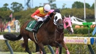 【シリウスS結果】トップハンデも何のその、ハギノアレグリアスが差し切り連覇達成！