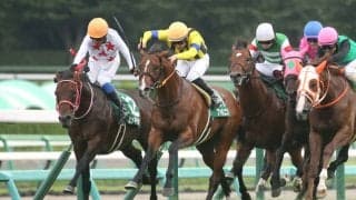 ファルコニアの競走馬登録抹消…重賞で活躍