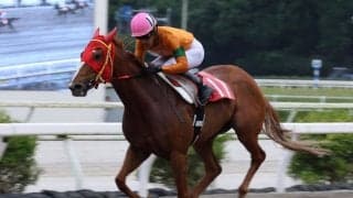 【高知・ミラク特別】グレートヒエンが2馬身差快勝…岡村「自信を持って乗った」