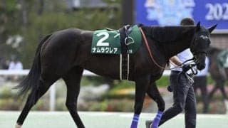 【今日の注目ポイント】中山で秋のスプリント王決定戦・スプリンターズS