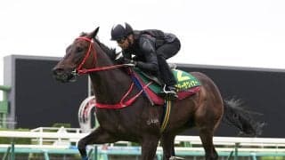 スプリンターズＳに参戦する香港馬２頭は買いか？ ふたりの調教師の反応から見た本気度