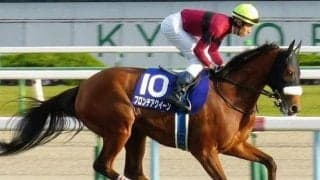 母は19年中山牝馬S覇者のフロンテアクイーン ブルーメサイアがデビュー