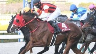 スプリンターズSは1分7秒台前半の決着か 好枠ウインマーベルで中穴狙いだ