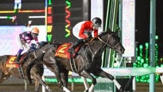 【大井・レディスプレリュード枠順】重賞連勝狙うアーテルアストレアは7枠7番