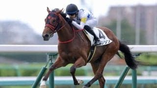 【新馬/中山3R】ビッグアーサー産駒 カンシンがデビューV