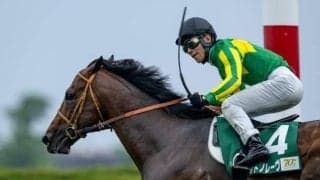 【スプリンターズS・馬体重】サトノレーヴは552kg(+4)、マッドクールは540kg(+6)