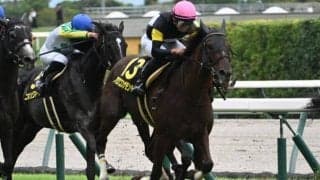 【ポートアイランドS結果】アスクコンナモンダが追い比べを制しオープン初勝利