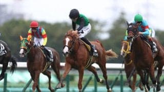 【サフラン賞】大接戦のゴール前！クリノメイが混戦を断つ…デビュー2連勝