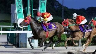 【佐賀・ロータスクラウン賞】高知所属バレンタインガールが快勝…山口勲「最初は行く気がなかった」