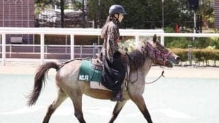 札幌競馬場にて「じみち美人コンテスト」開催 側対歩の美しさを競う