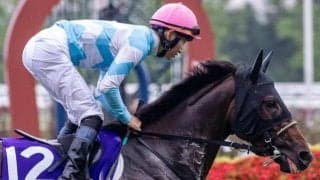 京都大賞典など3重賞、地方ではJDC、海外では凱旋門賞/今週の競馬界の見どころ