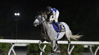 【高知・珊瑚冠賞】ガルボマンボが3馬身差完勝…断然人気ユメノホノオは2着