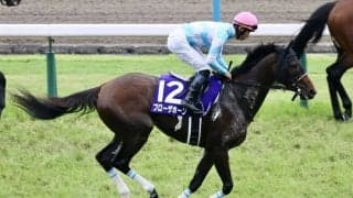 【京都大賞典登録馬】G1馬ブローザホーンなど11頭