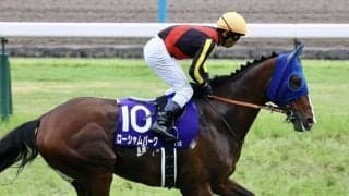 【毎日王冠登録馬】ローシャムパークなど15頭