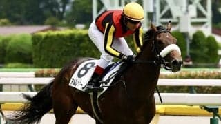 【サウジアラビアRC登録馬】アルレッキーノなど8頭