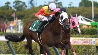 【シリウスS】売上は35億8189万9700円で昨年より微減