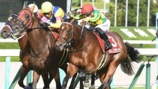 【京都大賞典見どころ】惜敗続きに終止符を打つサトノグランツ