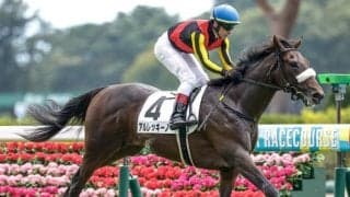 【サウジアラビアRC見どころ】良血アルレッキーノの連勝に期待