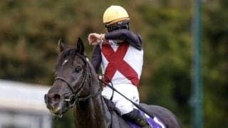 【スプリンターズS】売上は169億3368万1400円で昨年より約15億円増加