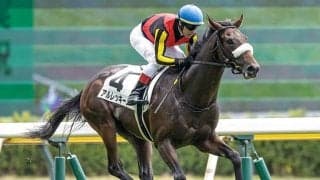 【サウジアラビアRC想定騎手】アルレッキーノはC.ルメール騎手、ヒシアマンは藤岡佑介騎手