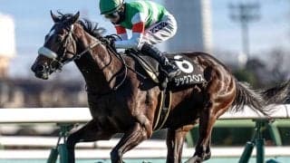 【毎日王冠想定騎手】シックスペンスはC.ルメール騎手、ローシャムパークは戸崎圭太騎手