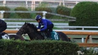 母系にジェンティルドンナなどGI馬ズラリの1.7億円馬 サトノブリジャールが川田将雅騎手と初陣/関西馬メイクデビュー情報