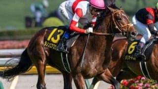 ダービー14着からの巻き返し狙う4.5億円馬 毎日王冠で史上最高額のJRA重賞勝ち馬となるか